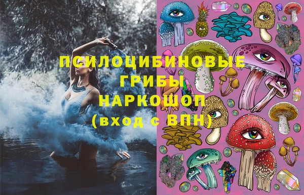 ешки Кодинск